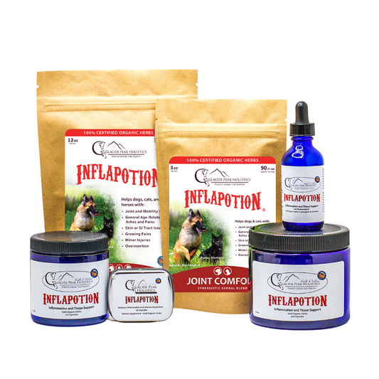 Inflapotion For Dogs & Cats