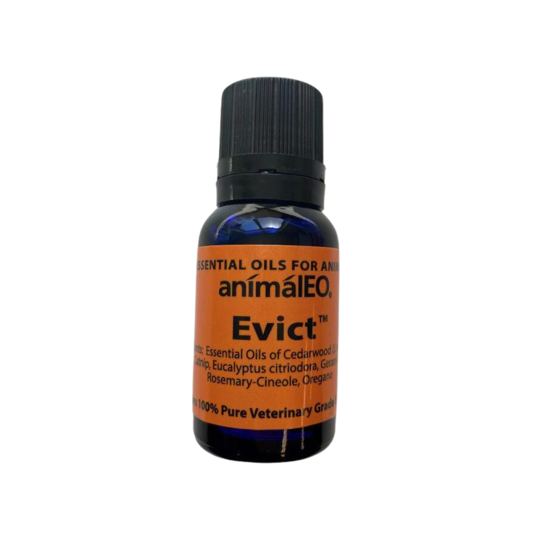 Evict Cedarwood oil
