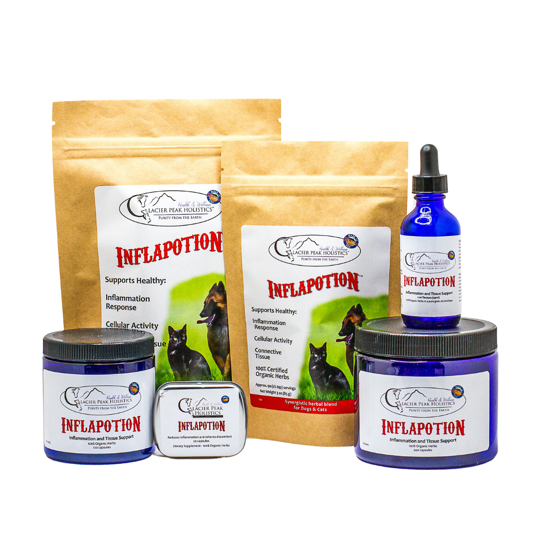 Herbal anti outlet inflammatory for dogs