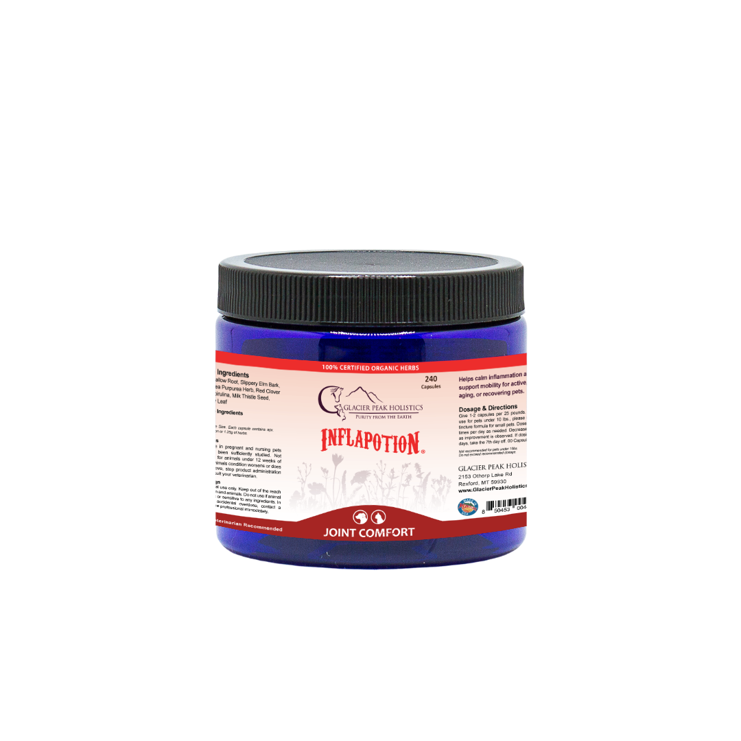 Glacier Peak Holistics Inflapotion For Dogs & Cats in a blue jar of 240 capsules, offering natural inflammation and tissue support.