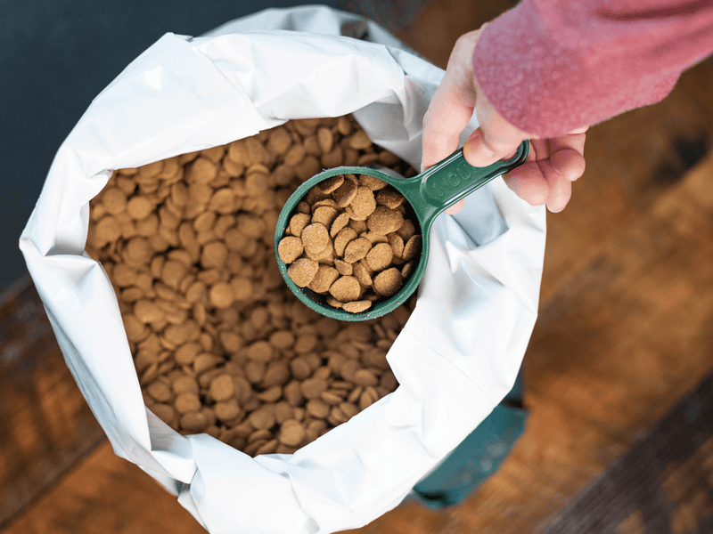 A hand holding a green measuring cup filled with dry brown kibble over an open bag of pet food.