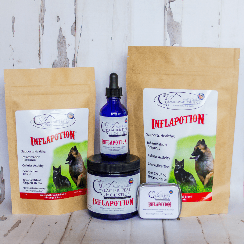 Inflapotion™ - natural anti inflammatory support for dogs, cats and horses