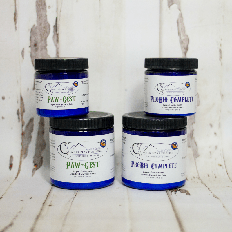 Digestive Enzymes and Probiotics for Dogs