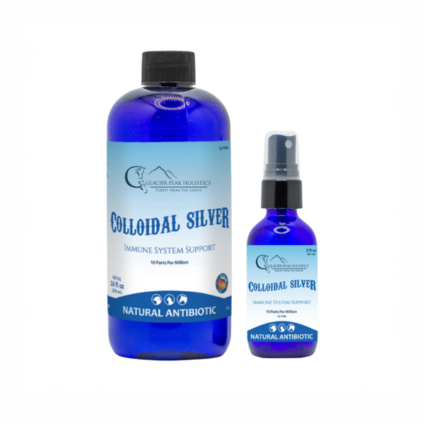 A 16 oz and 2 oz Glacier Peak Holistics bottle of "Colloidal Silver Immune System Support Natural Antibiotic" standing upright.