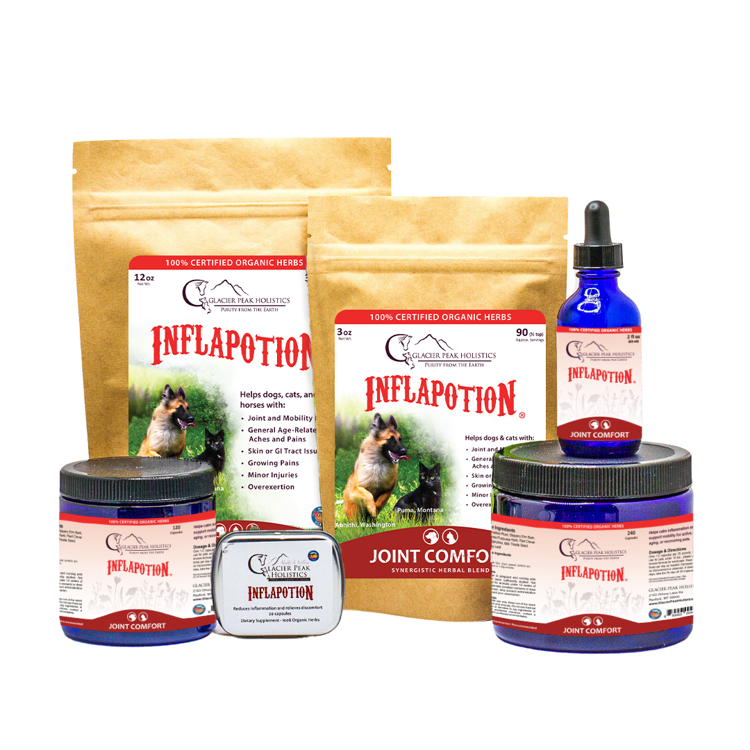 Glacier Peak Holistics Collection of Inflapotion products for dogs and cats, including powders, capsules, and tinctures for natural inflammation support and joint comfort.
