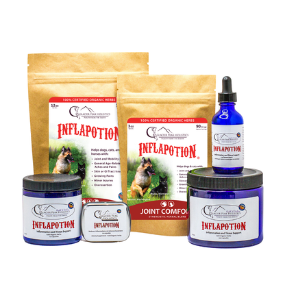 Inflapotion For Dogs & Cats
