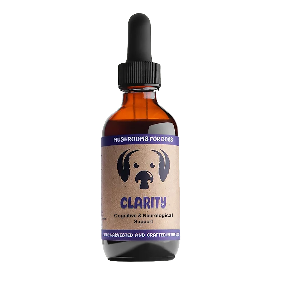 Clarity Tincture Mycodog