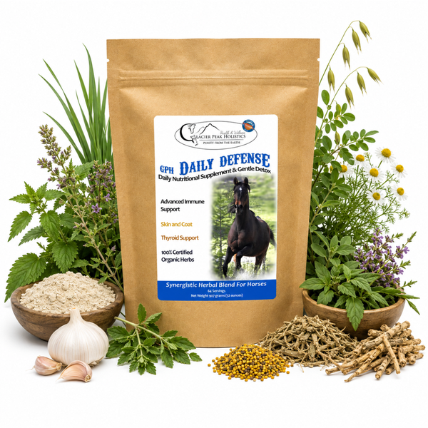 Daily Defense Powder for Horses