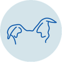 Ear Care Routine