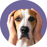 Ear Infections