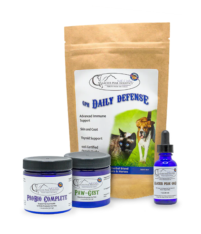 "Get 'em Healthy, Keep 'em Healthy" Supplement Bundle