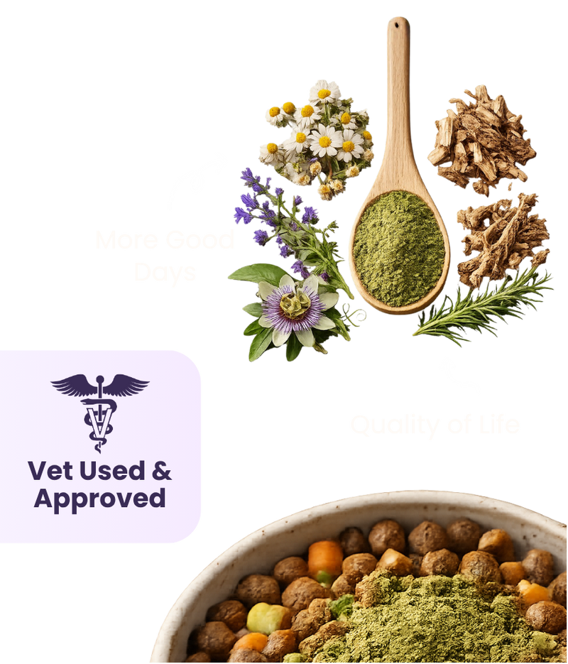 Wooden spoon with herbal powder surrounded by chamomile, passionflower, and dry roots above a bowl of dog food.
