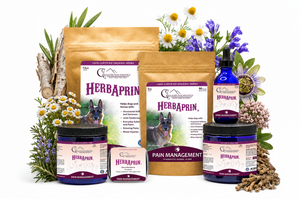 HerbAprin Powder for Dogs | Best HerbAprin | Glacier Peak Holistics