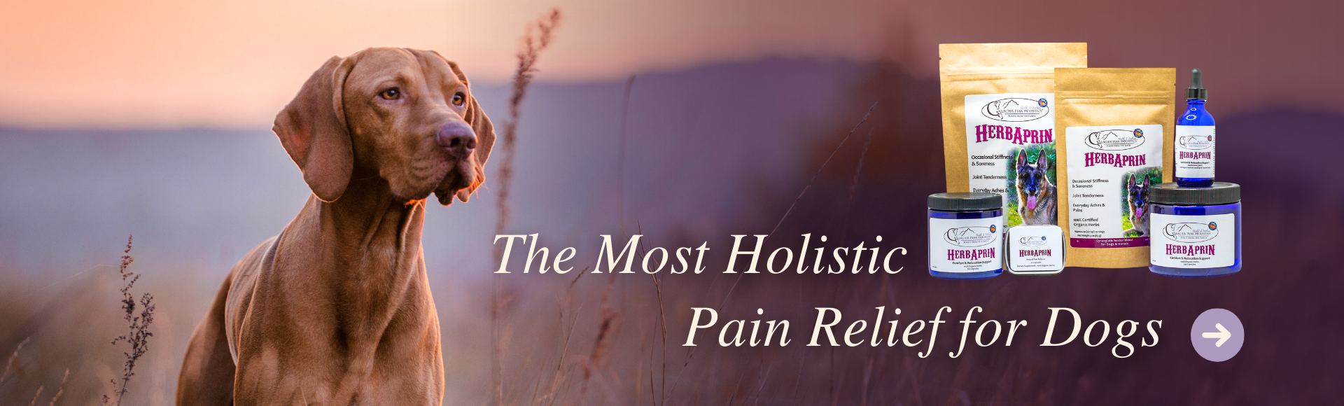 Natural Herbal Remedies for Pets Glacier Peak Holistics