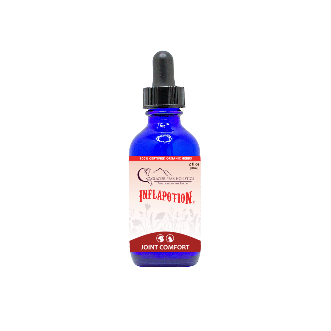 Inflapotion 2oz organic herbal tincture and dropper for cat and drop joint comfort