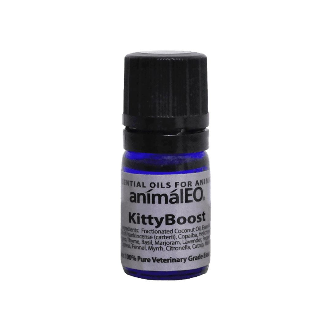 Kitty Boost Essential Oil