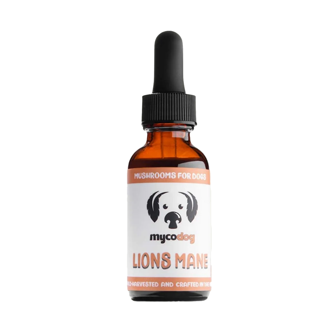 Lions Mane Mycodog Tincture