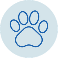 Nose & Paw Care