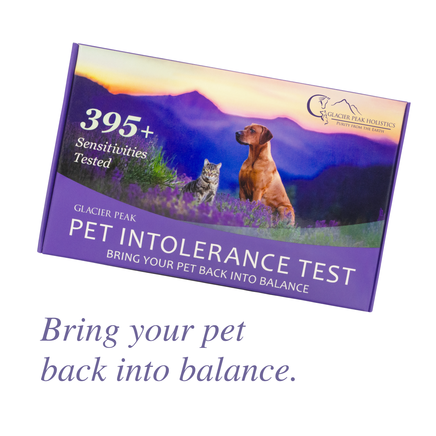 Pet Intolerance Test with "Bring your pet back into balance." below.