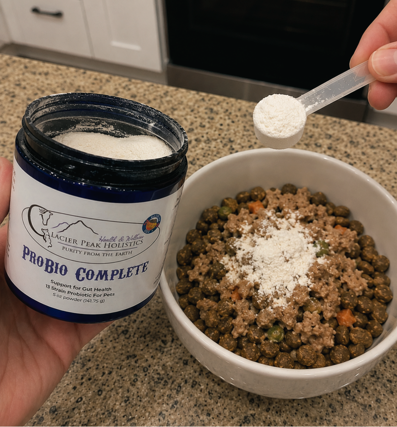 Hand holding a jar of Glacier Peak Holistics ProBio Complete powder being sprinkled over a bowl of pet food.