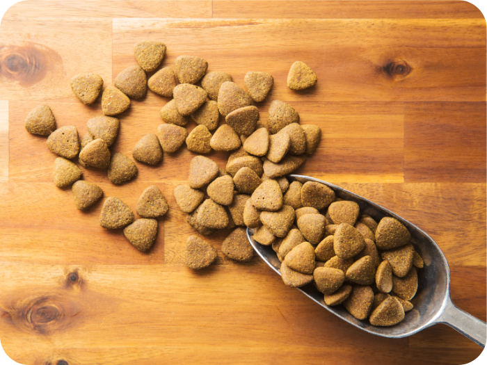 Metal scoop filled with triangular brown pet food kibble scattered on a smooth wooden surface.