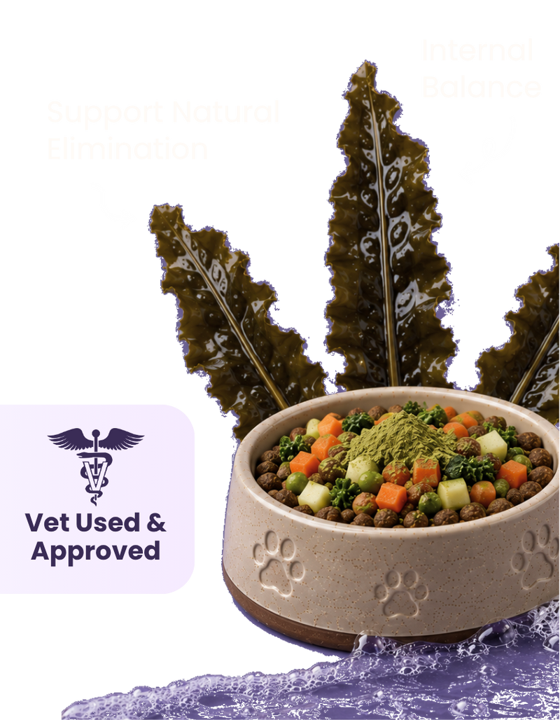 A bowl of pet food topped with green powder and fresh kelp leaves, featuring a Vet Used and Approved badge.