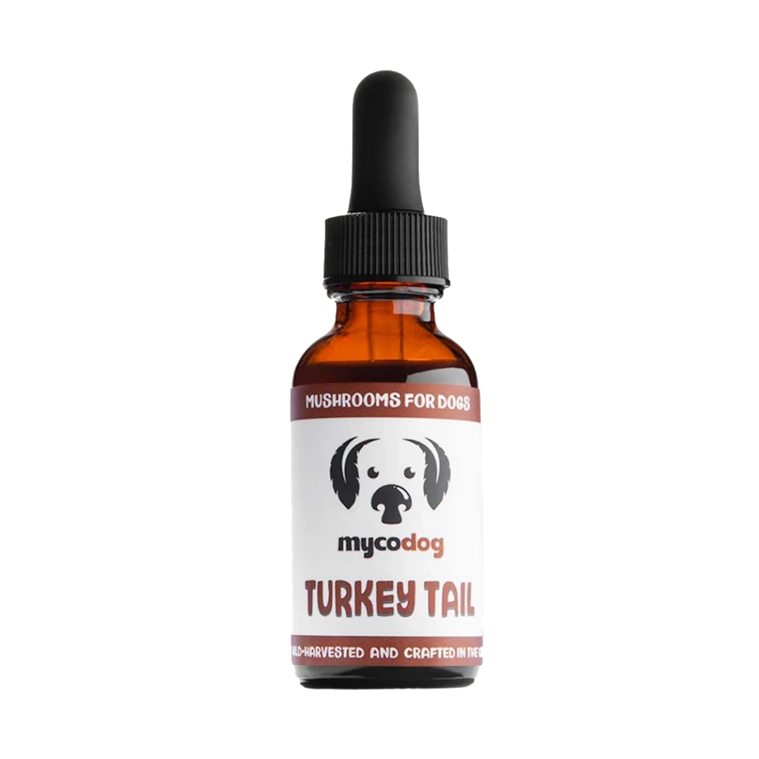 Turkey Tail Tincture Mycodog