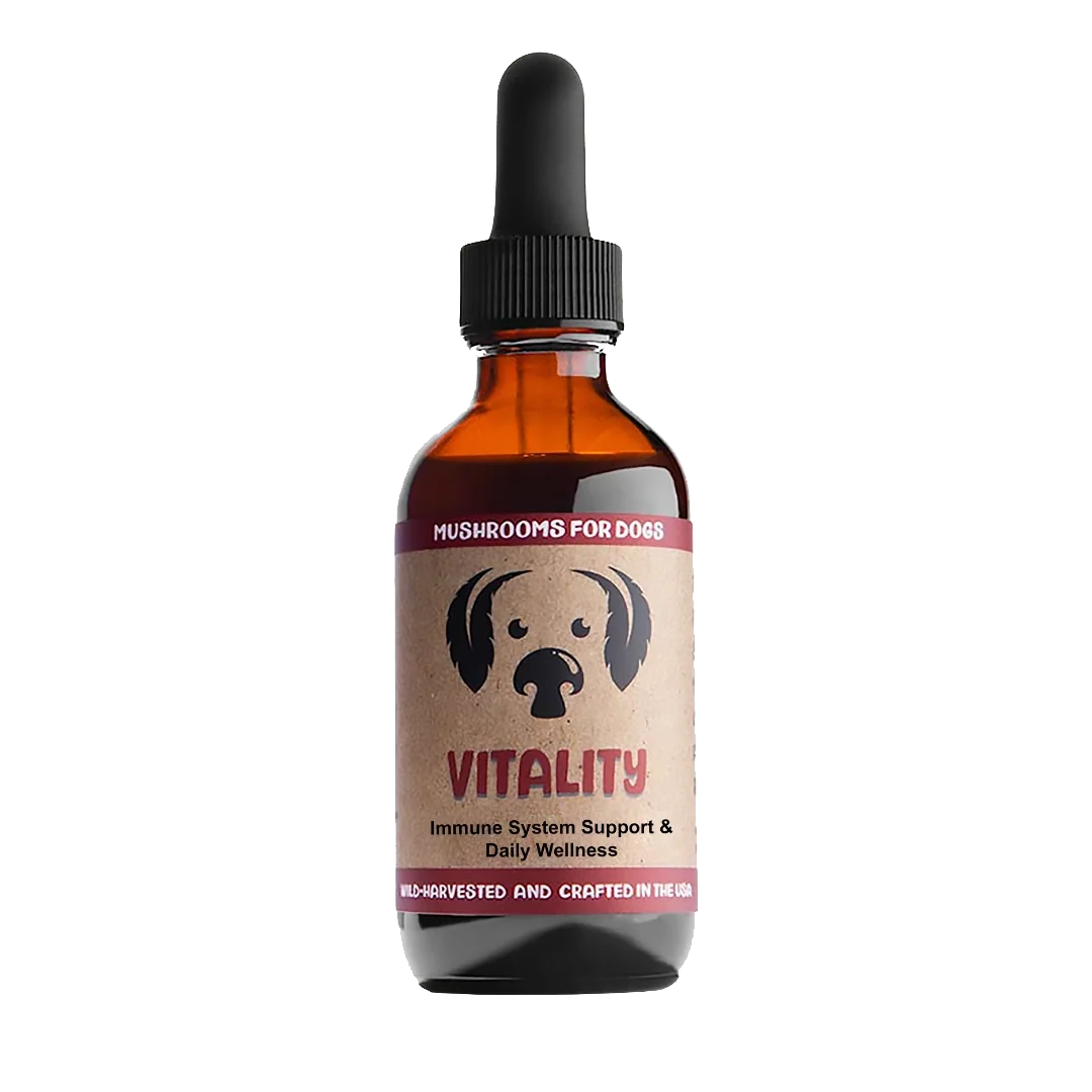 Vitality Tincture Mycodog