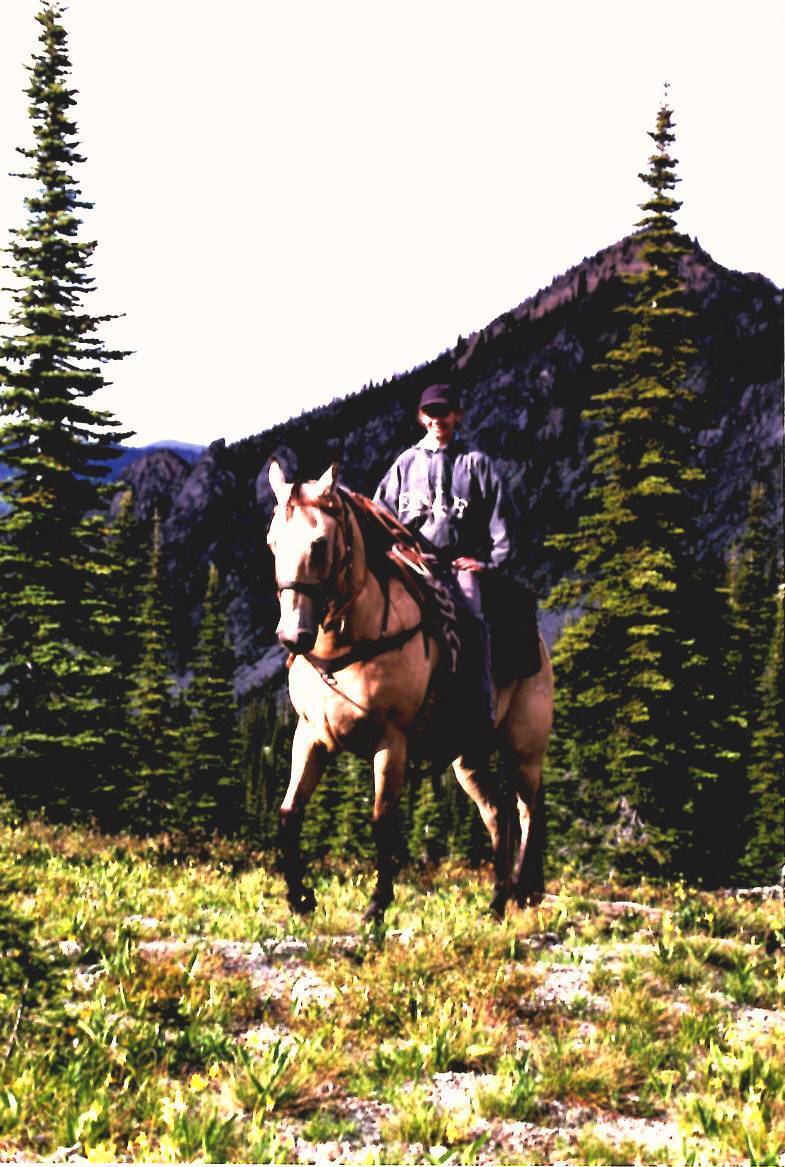 A person on horseback rides through a mountainous, forested landscape under a clear sky.