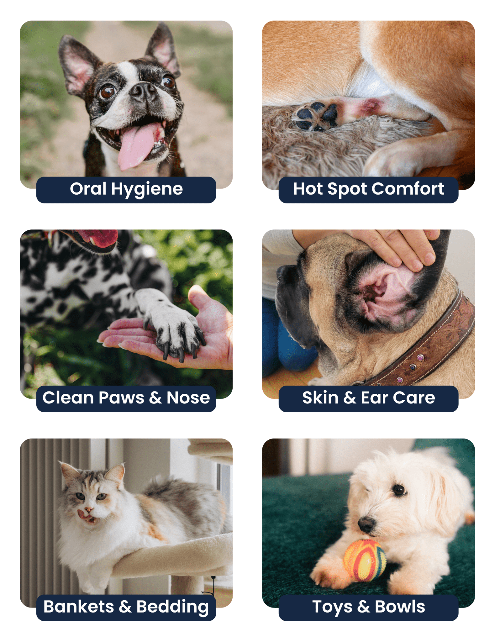 Six panels showing pets receiving care for oral hygiene, hot spots, paws, ears, bedding, and toys.