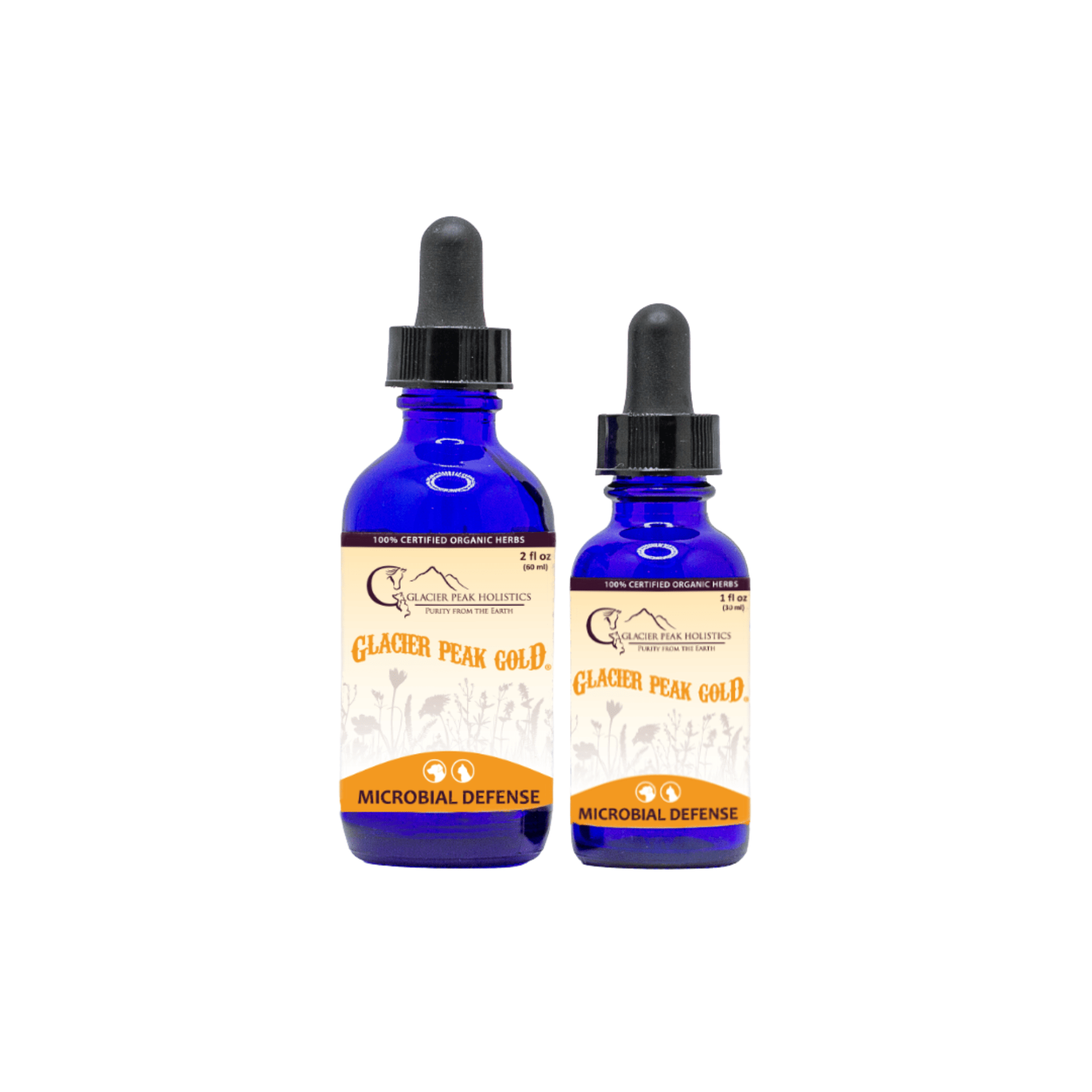 Two cobalt blue glass dropper bottles of Glacier Peak Gold microbial support tincture in 2 oz and 1 oz sizes.