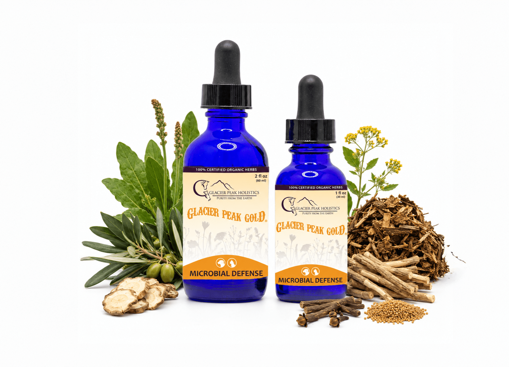 Two blue glass dropper bottles of Glacier Peak Gold herbal tincture surrounded by organic herbs and roots.