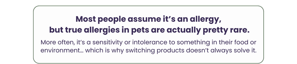 White rectangular card with rounded green borders featuring dark purple text about pet food and environmental sensitivities.