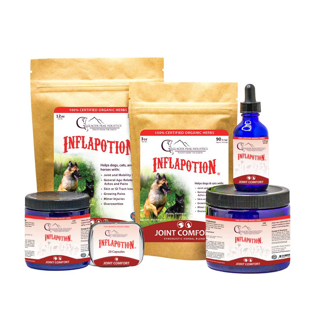 Glacier Peak Holistics Collection of Inflapotion products for dogs and cats, including powders, capsules, and tinctures for natural inflammation support and joint comfort.