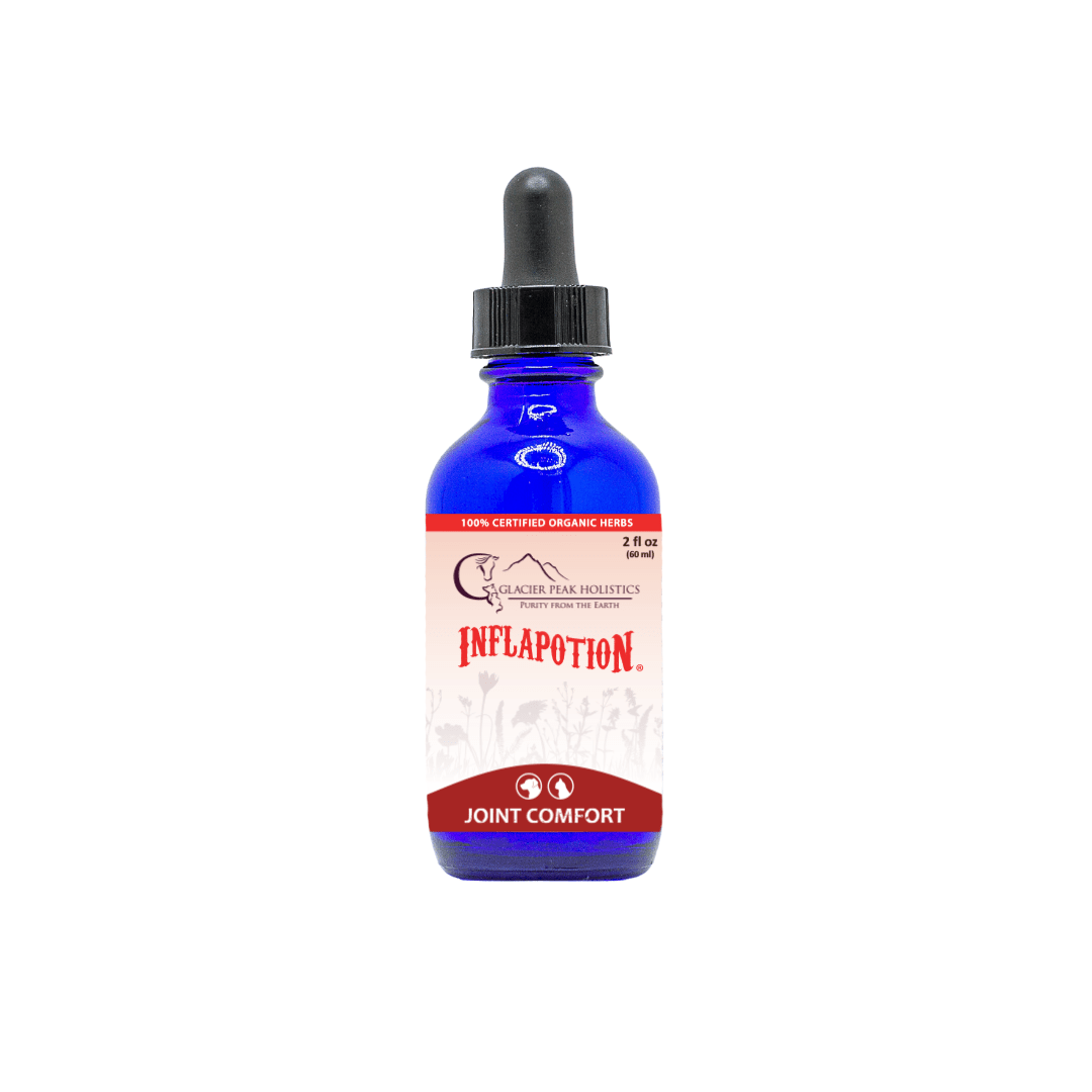 Inflapotion 2oz organic herbal tincture and dropper for cat and drop joint comfort