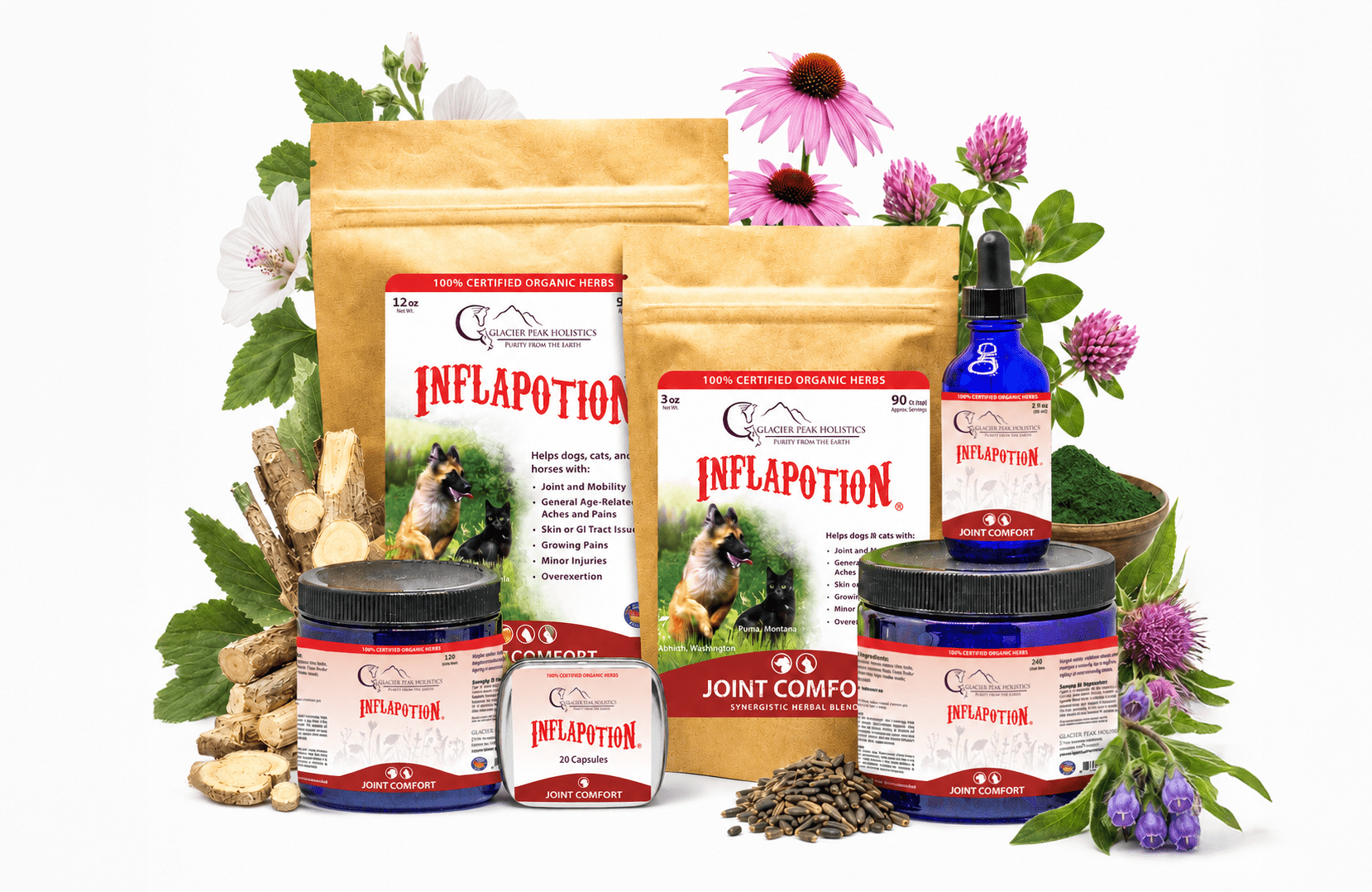Inflapotion herbal wellness products in pouches, blue jars, and a tin, surrounded by organic herbs and flowers.