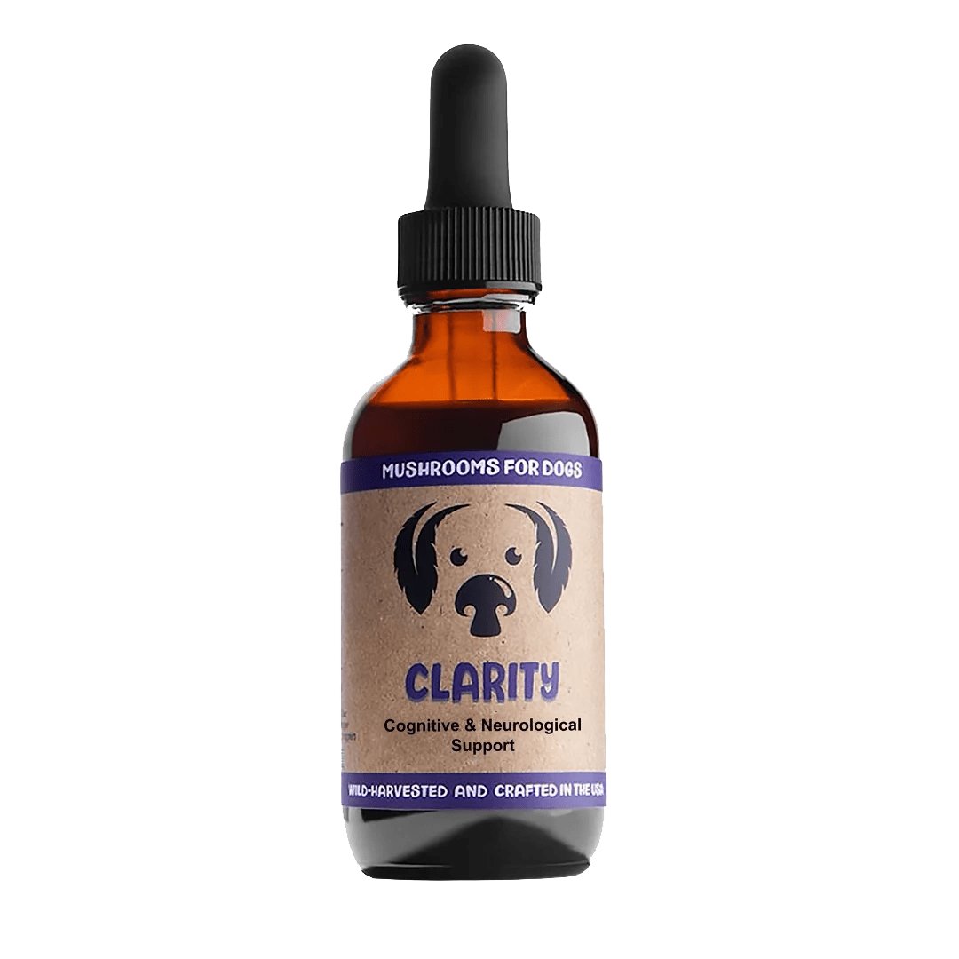 Clarity Tincture Mycodog