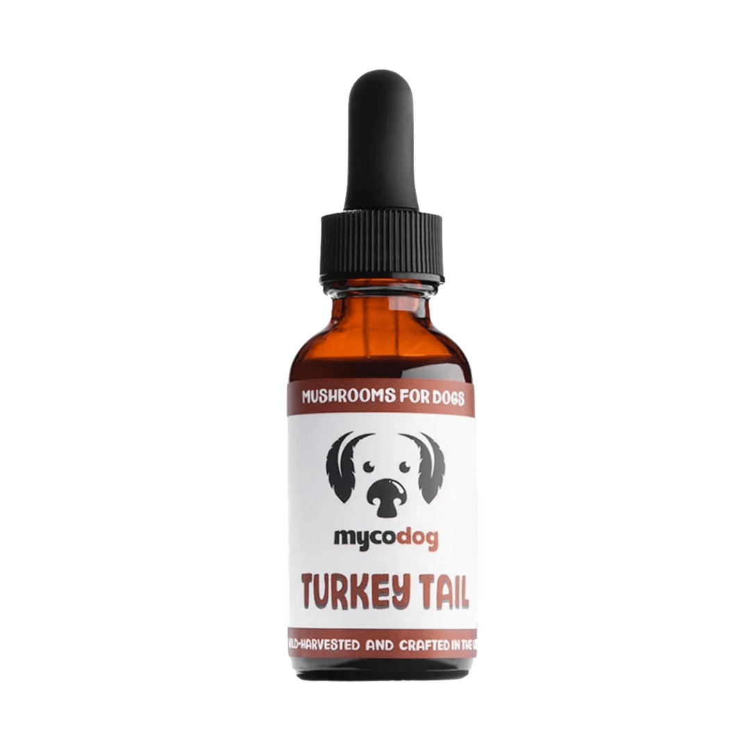 Turkey Tail Tincture Mycodog