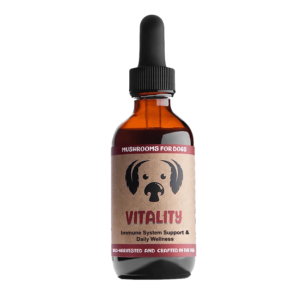 Vitality Tincture Mycodog