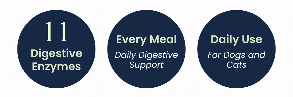 Three dark blue circles with light text highlighting 11 digestive enzymes for daily pet support.