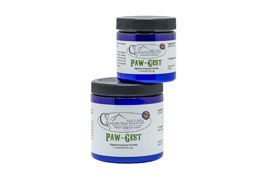Two cobalt blue plastic jars of Paw-Gest digestive enzyme powder for pets stacked on a white background.