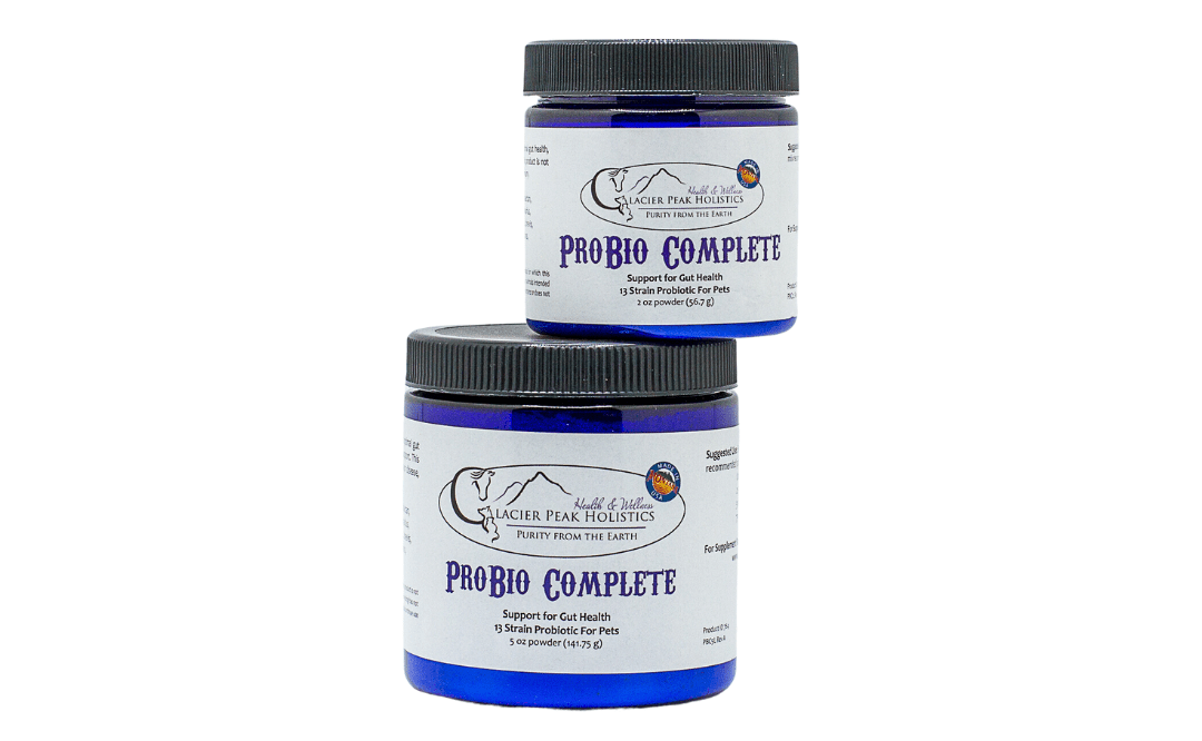 Two cobalt blue jars of ProBio Complete pet probiotic powder stacked vertically against a white background.