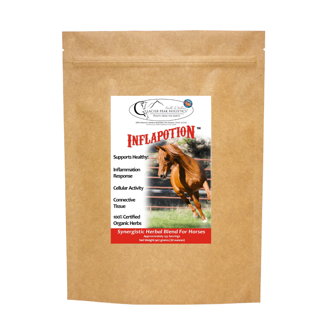 Glacier Peak Holistics 32 oz Inflapotion Powder For Horses
