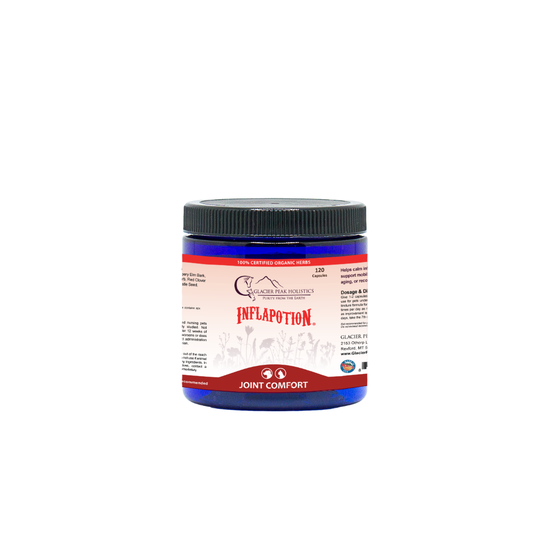Glacier Peak Holistics Inflapotion For Dogs & Cats, 120 capsules of a blue jar with a label indicating inflammation and tissue support. 100% organic herbs