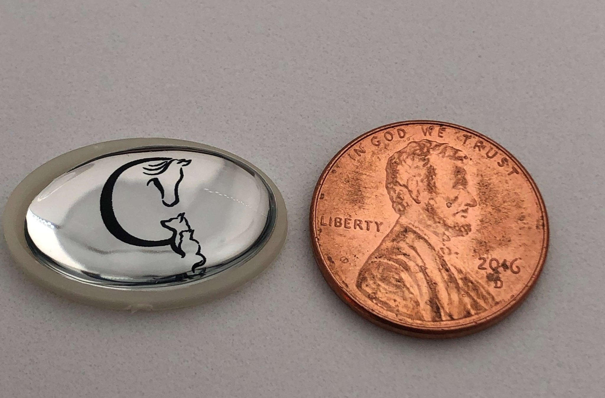 EMF Gaurd size with Glacier Peak Holistics size comparison to a penny.
