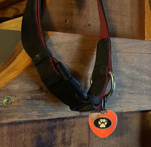 EMF Guard (Guard Dog) collar with a paw print tag.