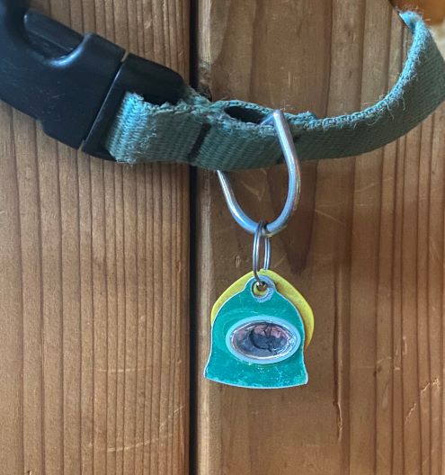 EMF Guard (Guard Dog) tag on a green dog collar attached to a wooden surface.