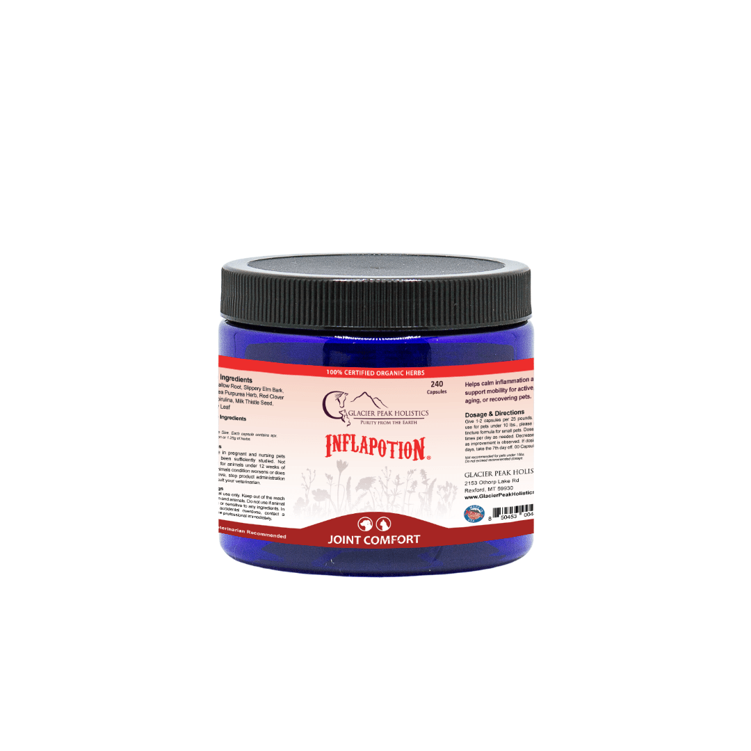 Glacier Peak Holistics Inflapotion For Dogs & Cats in a blue jar of 240 capsules, offering natural  inflammation and tissue support.